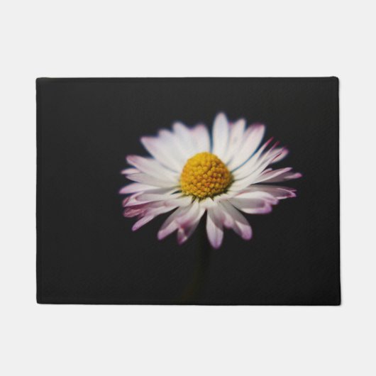 Common Daisy dmcna Deurmat (Voorkant)