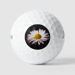 Common Daisy ssf gbcnm Golfballen