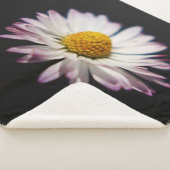 Common Daisy subcna Sherpa Deken (3/4)