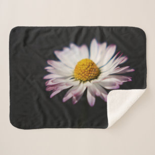 Common Daisy subcna Sherpa Deken