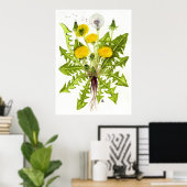 Common Dandelion - Sue Abonyi Poster (Thuiskantoor)