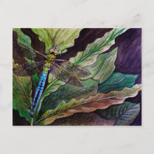 Common Darner Dragonfly Briefkaart