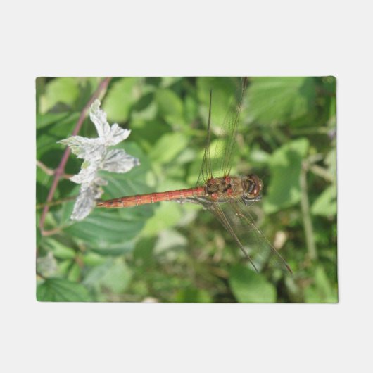 Common Darter Dragonfly Doormat Deurmat (Voorkant)