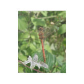 Common Darter Dragonfly-laptop Notitieblok (Gedraaid)