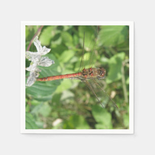 Common Darter Dragonfly Napkins Servet