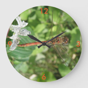 Common Darter Dragonfly Wall klok