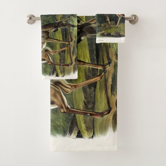 Common Deer (En situation)