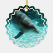 Common Dolphin Ornament (Voorkant)