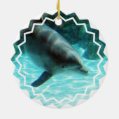 Common Dolphin Ornament (Achterkant)