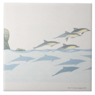 Common Dolphins Tegeltje