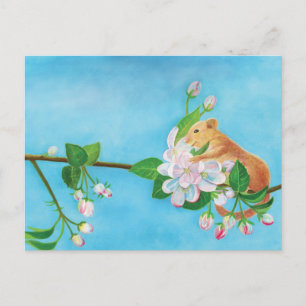 Common Dormouse on blooming branch of apple tree Feestdagenkaart