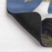 Common Eiders Mousepad Muismat (Hoek)