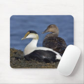 Common Eiders Mousepad Muismat (Met muis)