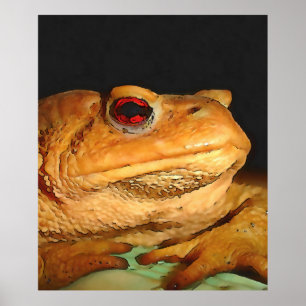 Common European Toad Bufo Black Outline Art Poster