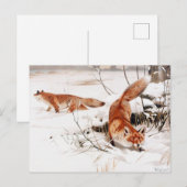 Common Foxes in the Snow, populaire kunst, Briefkaart (Voorkant / Achterkant)