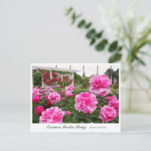 Common Garden Peony Briefkaart (Staand voorkant)