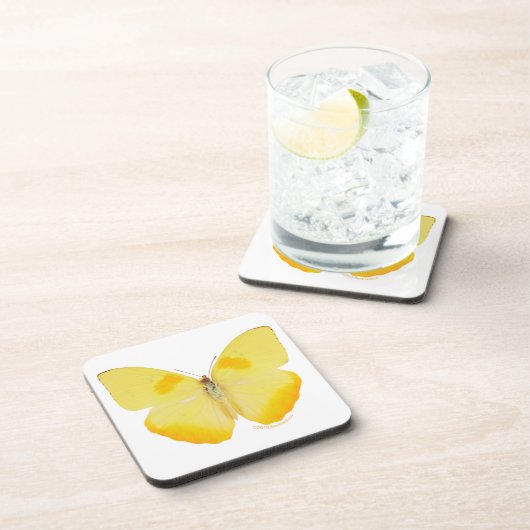 Common Grass Yellow Butterfly Bier Onderzetter (Rechterzijde)