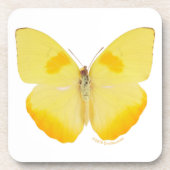 Common Grass Yellow Butterfly Bier Onderzetter (Voorkant)