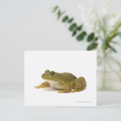 Common Green Frog Briefkaart (Staand voorkant)