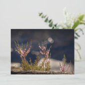Common Heather Natuur Photo Card (Staand voorkant)