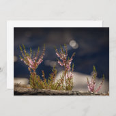 Common Heather Natuur Photo Card (Voorkant / Achterkant)