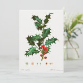 Common Holly Kerstmis Kaart (Staand voorkant)