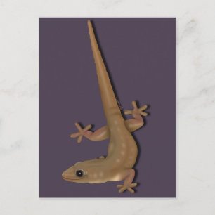 Common House Gecko Briefkaart