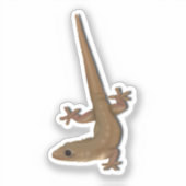 Common House Gecko Sticker (Voorkant)