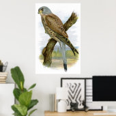Common Kestrel - Falco tinnunculus Poster (Thuiskantoor)