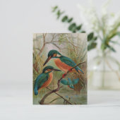 Common Kingfisher  Bird Illustration Briefkaart (Staand voorkant)