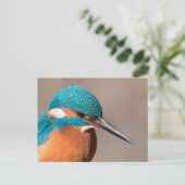 Common Kingfisher Natuur Foto Briefkaart (Staand voorkant)