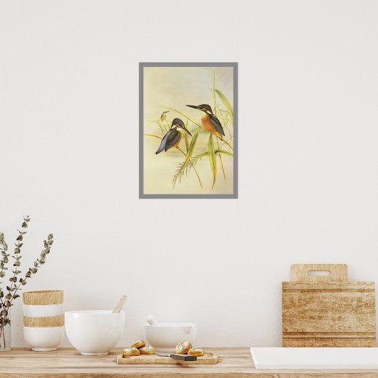 Common Kingfisher Poster (Keuken)