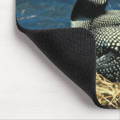 Common Loon Muismat (Hoek)