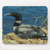 Common Loon Muismat (Voorkant)