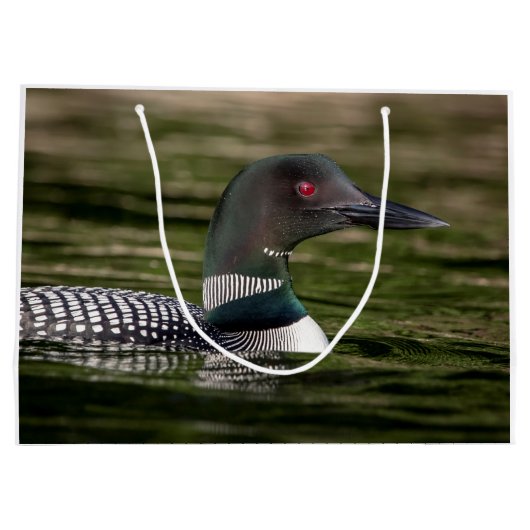 Common Loon on op Jabe Pond Groot Cadeauzakje (Achterkant)