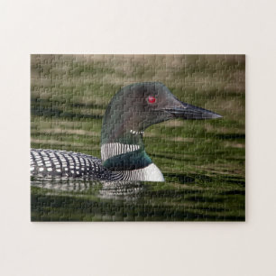 Common Loon on op Jabe Pond Legpuzzel