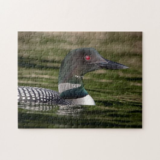 Common Loon on op Jabe Pond Legpuzzel (Horizontaal)