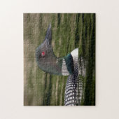 Common Loon on op Jabe Pond Legpuzzel (Verticaal)