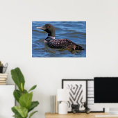 Common Loon Poster (Thuiskantoor)