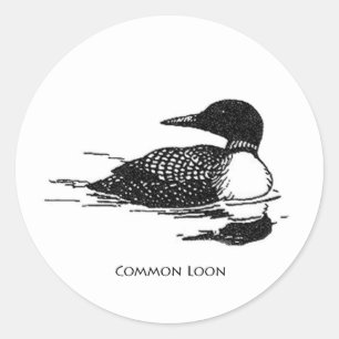 Common Loon Ronde Sticker