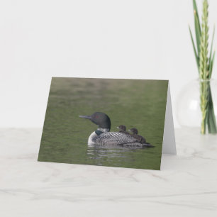 Common Loon Wenskaart Kaart