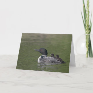 Common Loon Wenskaart Kaart