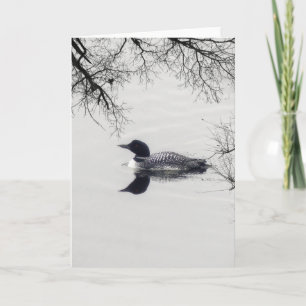Common Loon zwemt in een noordelijk meer in de win Kaart