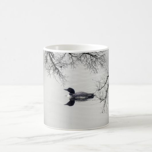 Common Loon zwemt in een noordelijk meer in de win Koffiemok (Center)