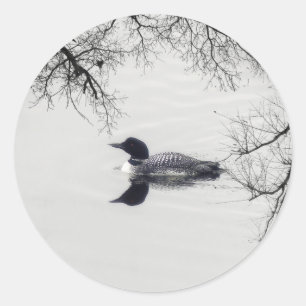 Common Loon zwemt in een noordelijk meer in de win Ronde Sticker