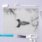 Common Loon zwemt in een noordelijk meer in de win Tissuepapier (Craft)