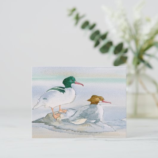 Common Merganser Goosander Bird Duck Briefkaart (Staand voorkant)