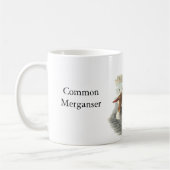 Common Merganser, John Audubon Koffiemok (Links)