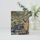 Common Minnesota rock bed stream van het bos Briefkaart (Staand voorkant)