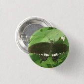 Common Mormon Butterfly Button (Voorkant /achterkant)